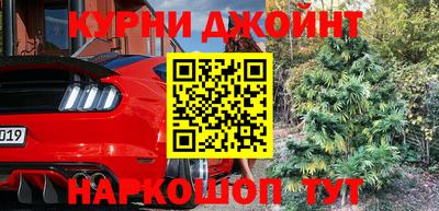 молекула духа Новозыбков