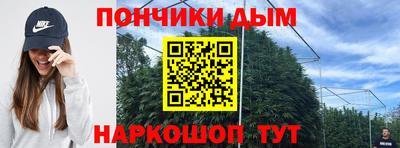 молекула духа Новозыбков