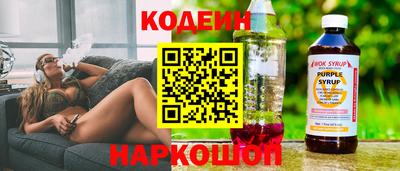 молекула духа Новозыбков
