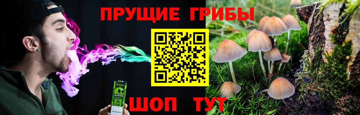 Псилоцибиновые грибы GOLDEN TEACHER  Вход с VPN  Пыть-Ях 
